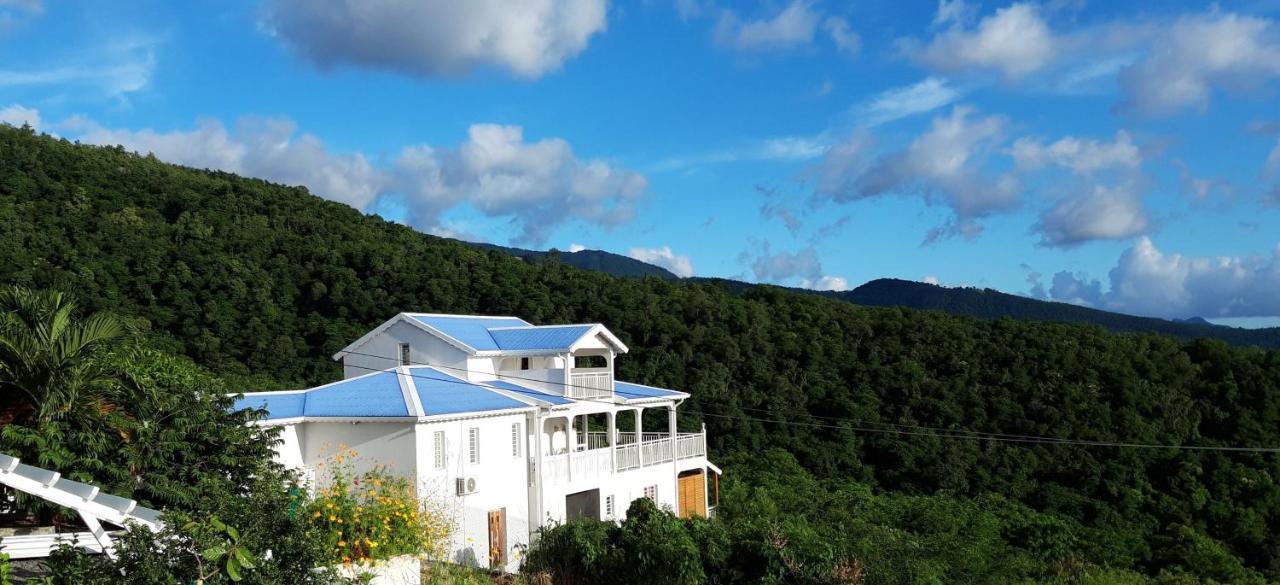 Apartmán Cote Caraibes Bouillante Exteriér fotografie