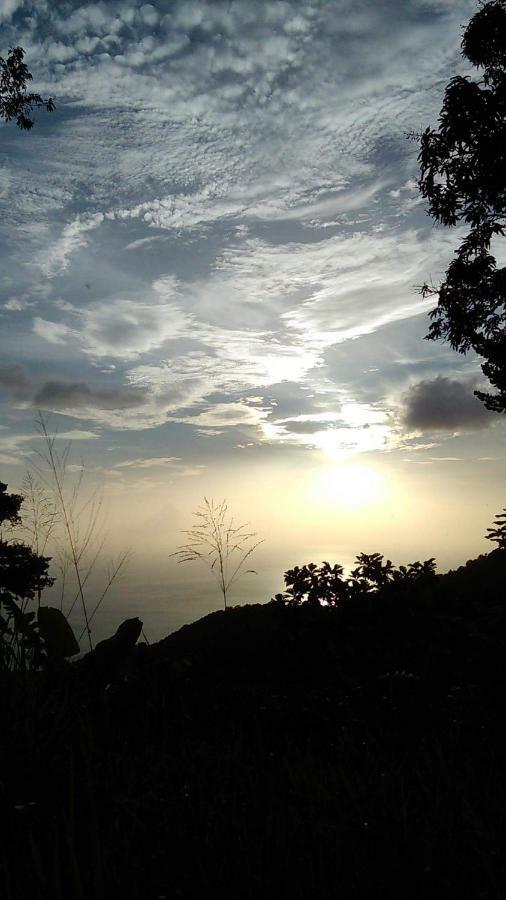 Apartmán Cote Caraibes Bouillante Exteriér fotografie